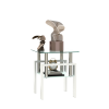 1-Piece Modern Tempered Glass Tea Table Coffee Table End Table, Square Table for Living Room, Transparent/White