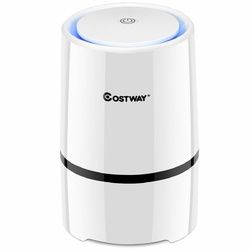 Mini Ionic 3-in-1 Composite HEPA Air Purifier