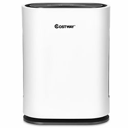 4-in-1 Composite Ionic Air Purifier with HEPA Filter