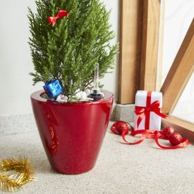 2-Pack Smart Self-watering Planter Pot for Indoor and Outdoor - Red - Round Cone (Color: as Pic)